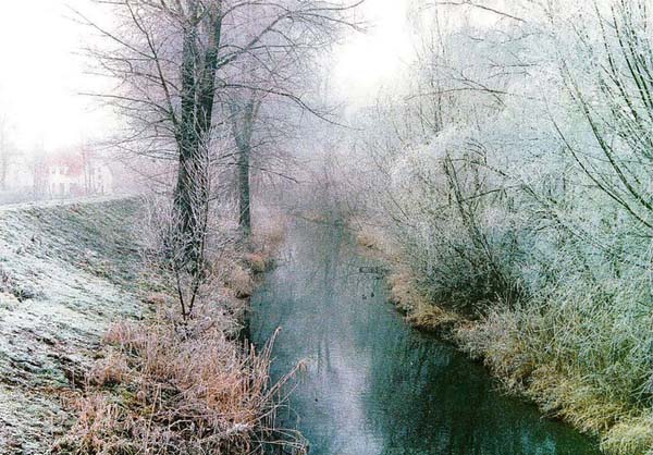 Winter in der Gera-Aue
